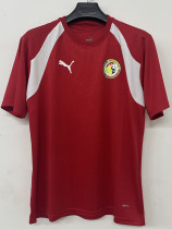26/27 Senegal Red Training Shirt