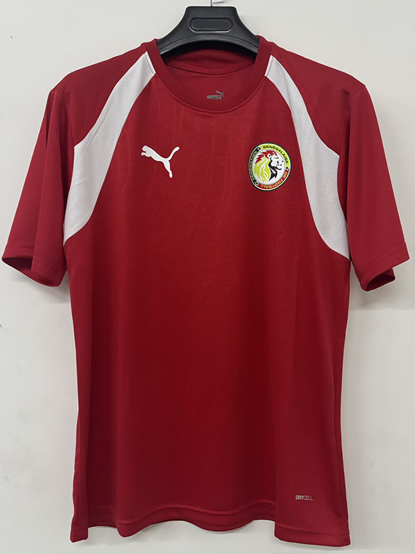 26/27 Senegal Red Training Shirt