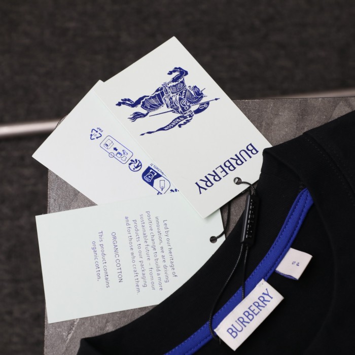 Burberry Classic Small Logo Embroidered T-shirts