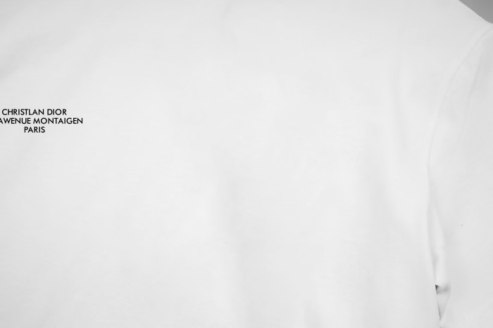 Dior Logo Print Cotton Short Sleeves Tee