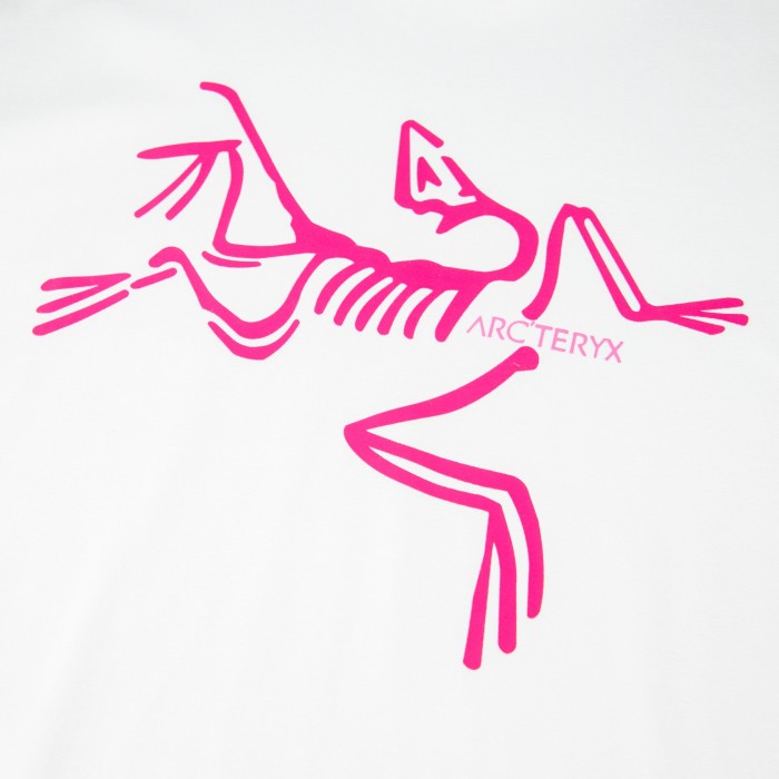 Arcteryx Regular Cotton T Shirt