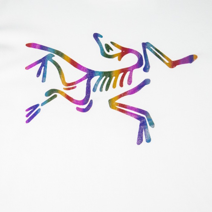 Arcteryx Regular T Shirt