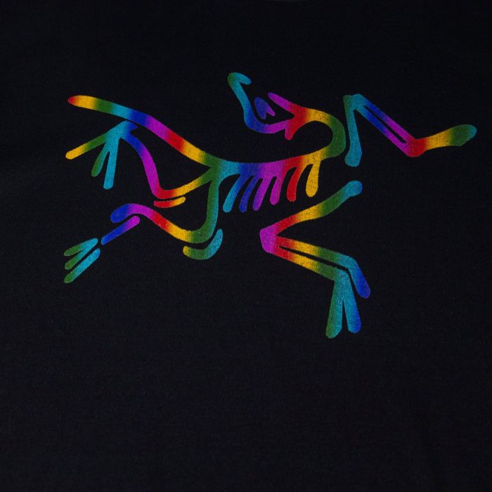 Arcteryx Regular T Shirt