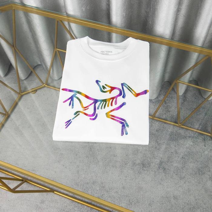 Arcteryx Regular T Shirt