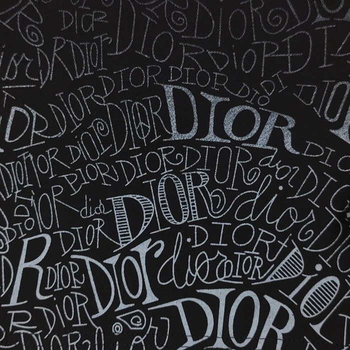 Dior Gradient Logo Print Shorts