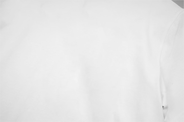 LOEWE Regular Fit Cotton T-shirt