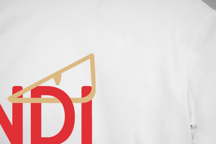 Fendi Logo Cotton T-Shirt