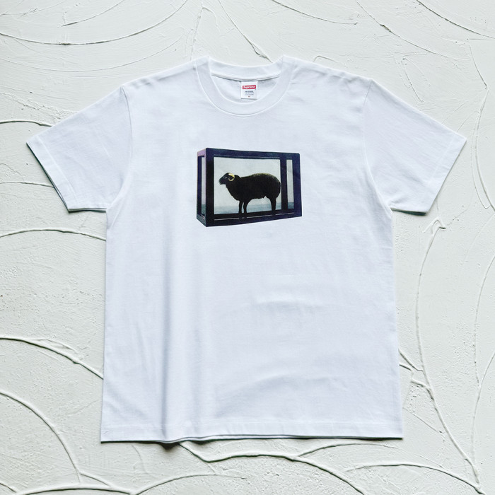 Supreme X Damien Hirst Tee