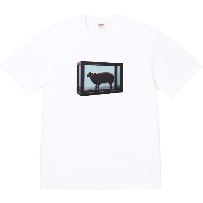 Supreme X Damien Hirst Tee