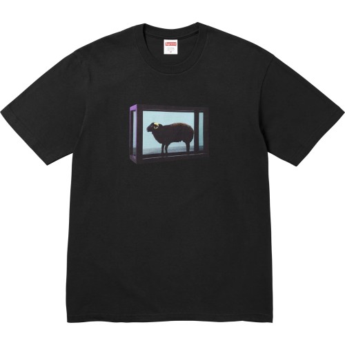 Supreme X Damien Hirst Tee