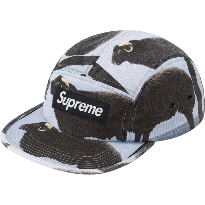 Sup Damien Hirst Camp Cap