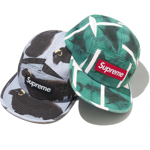 Sup Damien Hirst Camp Cap