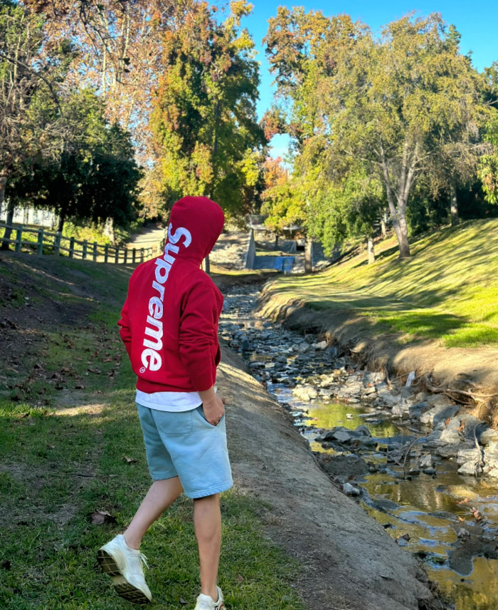 Supreme Satin Appliqué Hooded Sweatshirt