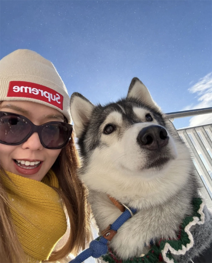 Supreme New Era Box Logo Beanie