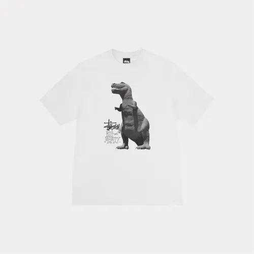 Stussy SS25 BIG & MEATY TEE PIGENT DYED