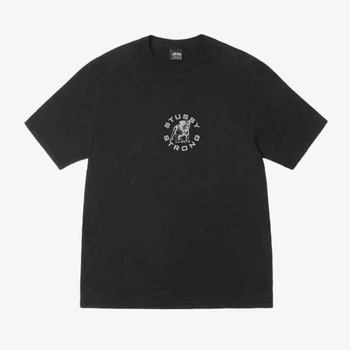 Stussy STRONG MAC PIG. DYED TEE