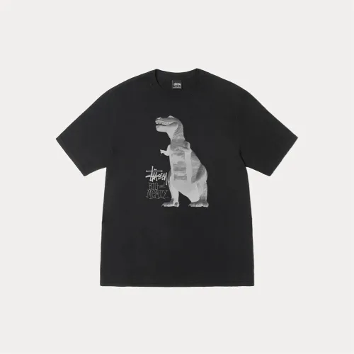 Stussy SS25 BIG & MEATY TEE PIGENT DYED