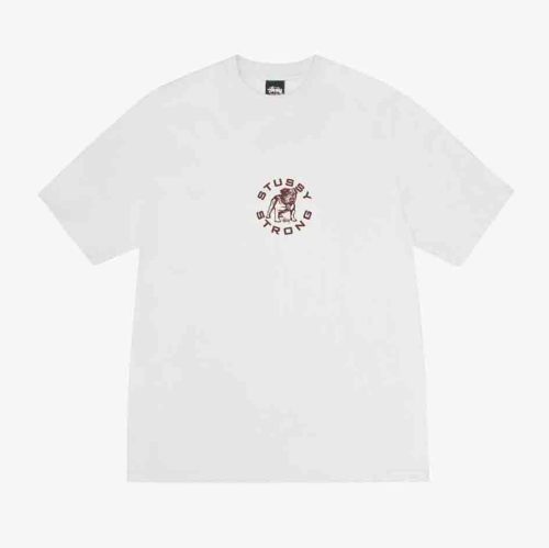 Stussy STRONG MAC PIG. DYED TEE