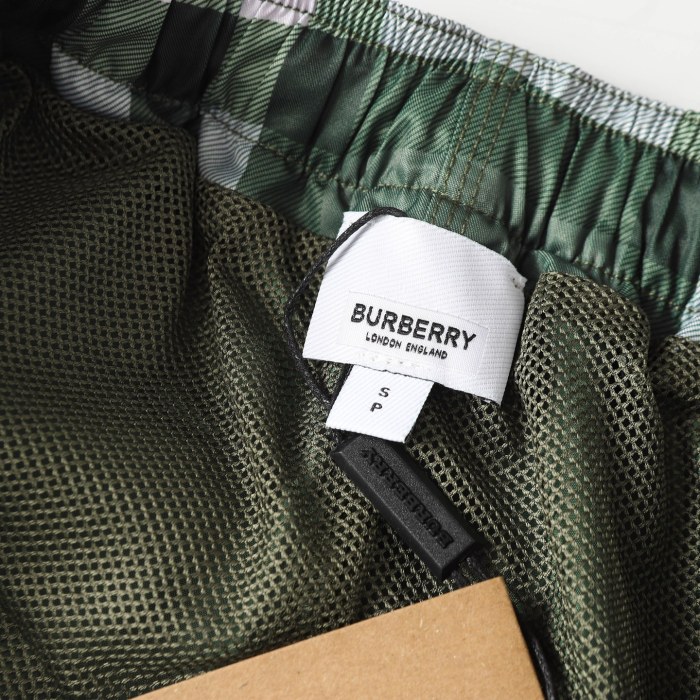 Burberry Martin Swim Shorts in Green