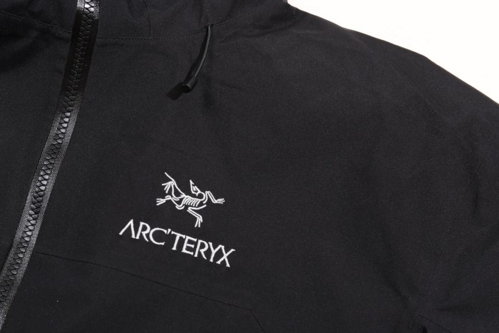 Arc'teryx Beta AR Gore-Tex Hybrid Jacket