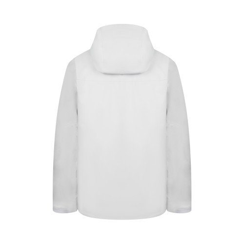 Arc'teryx Men's Beta AR Jacket in Vitality