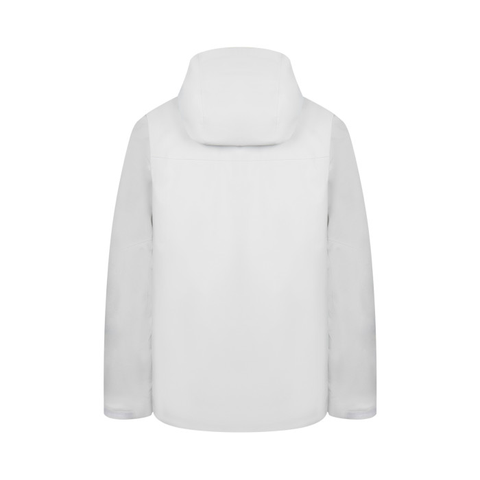 Arc'teryx Men's Beta AR Jacket in Vitality