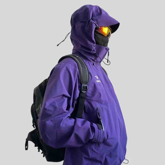 Arc'teryx Beta LT Jacket  Purple