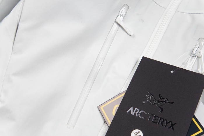 Arc'teryx Men's Beta AR Jacket in Vitality