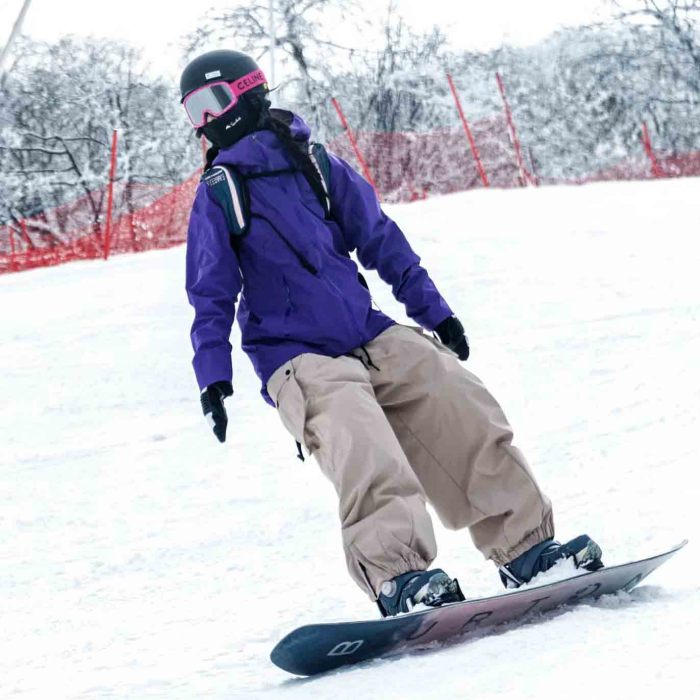 Arc'teryx Beta LT Jacket  Purple