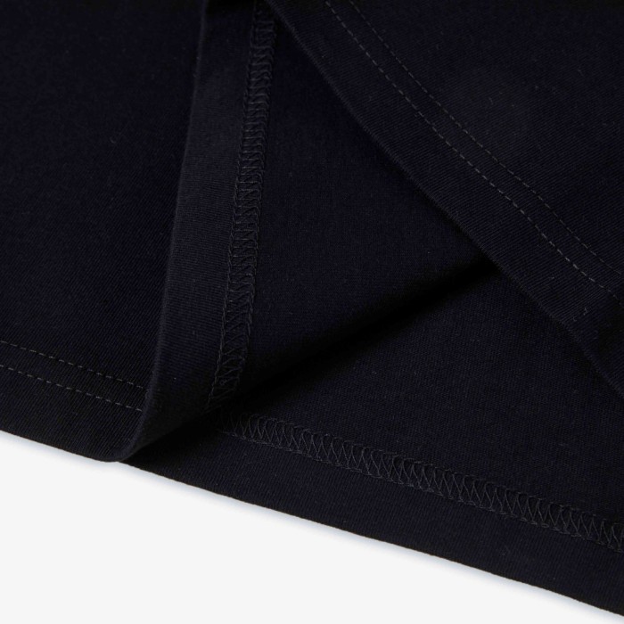 Stussy fw24 LAGUNA USA TEE PIGMENT DYED