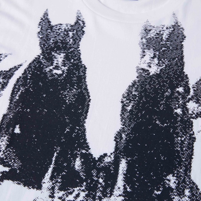 Stussy 24SS DOBERMANS TEE
