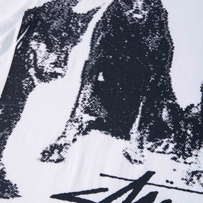 Stussy 24SS DOBERMANS TEE