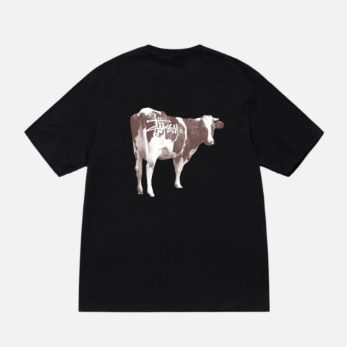 STUSSY GRASSFED TEE
