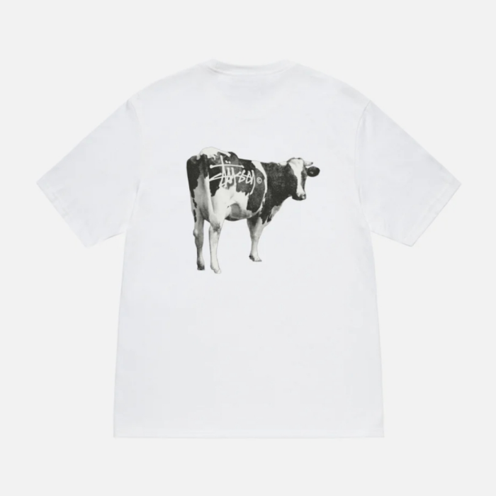 STUSSY GRASSFED TEE
