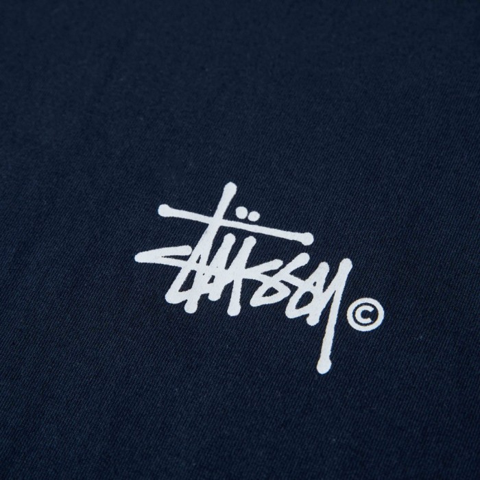 STUSSY GRASSFED TEE