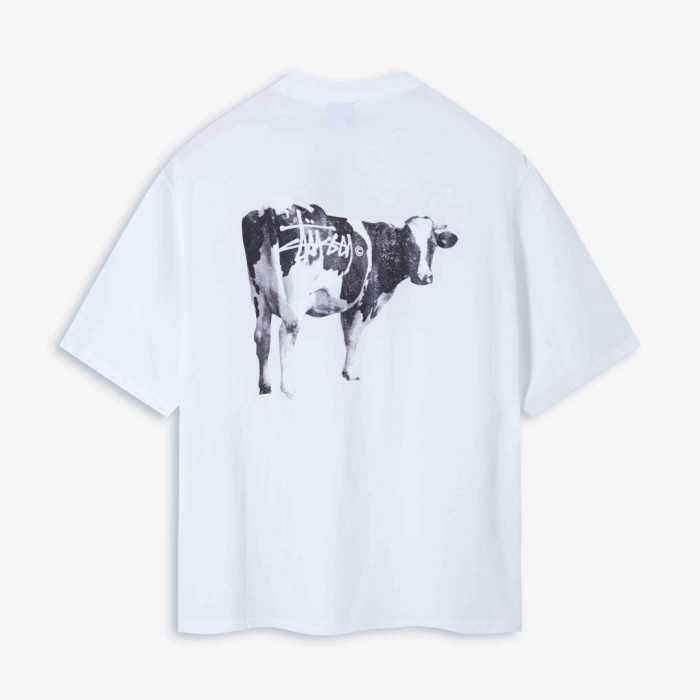 STUSSY GRASSFED TEE