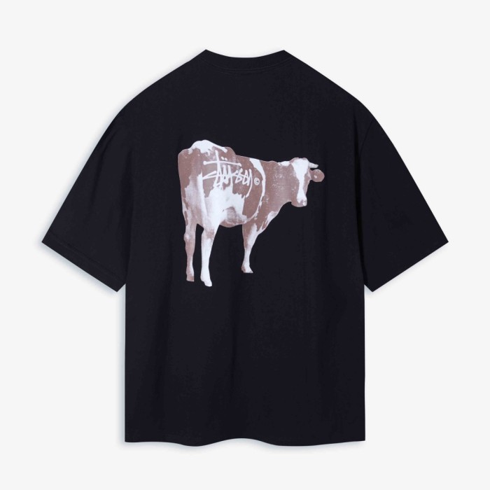 STUSSY GRASSFED TEE