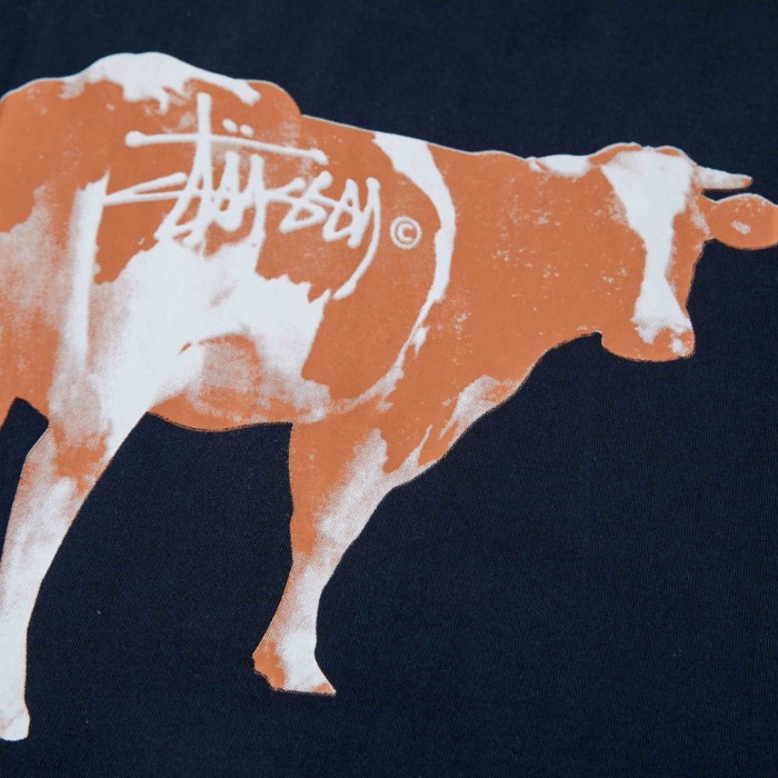 STUSSY GRASSFED TEE