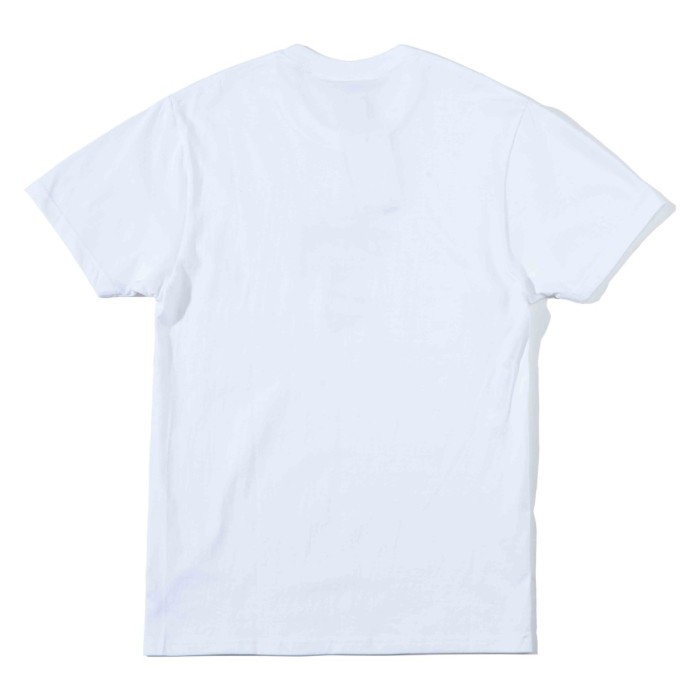 Stussy 20FW Logo short-sleeved T-shirt