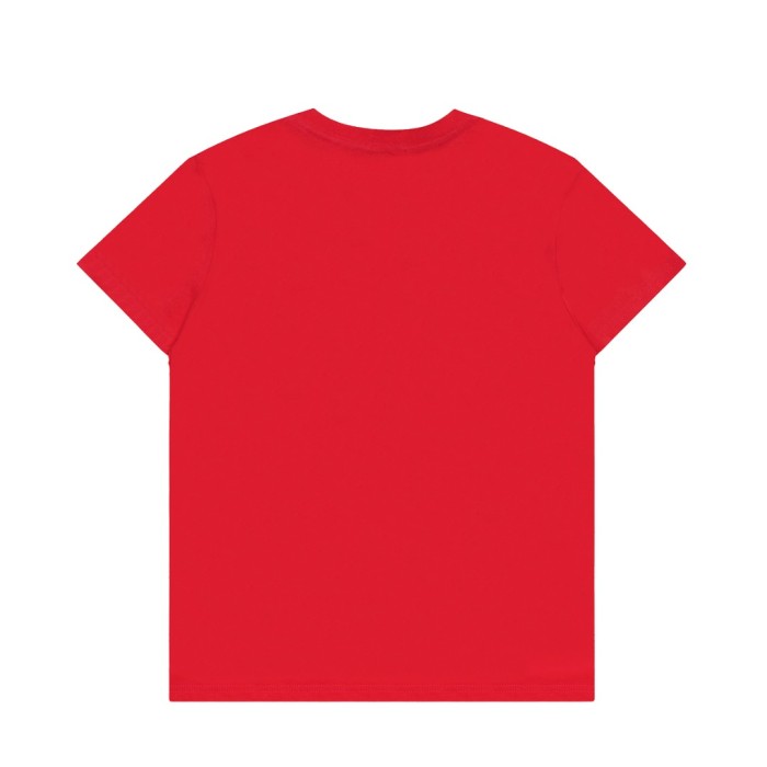 Polo Ralph Lauren V-neck T-shirt