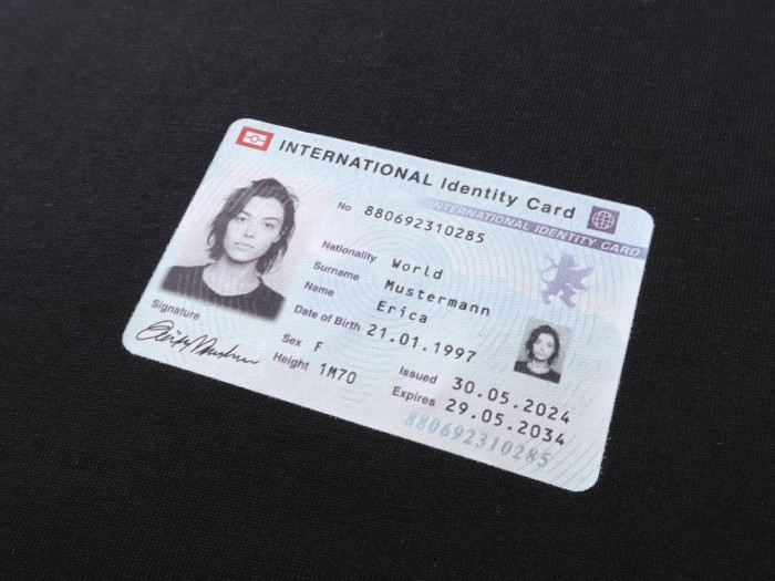 Balenciaga ID card print short-sleeved T-shirt