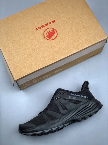 Mammut Saentis TR Low GTX Hiking Shoes