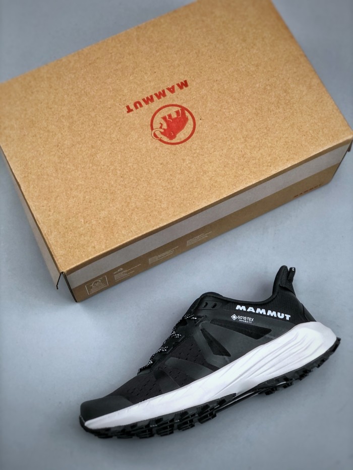 Mammut Saentis Low GTX Hiking Shoe