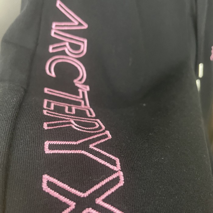 Arc'teryx embroidered logo shorts