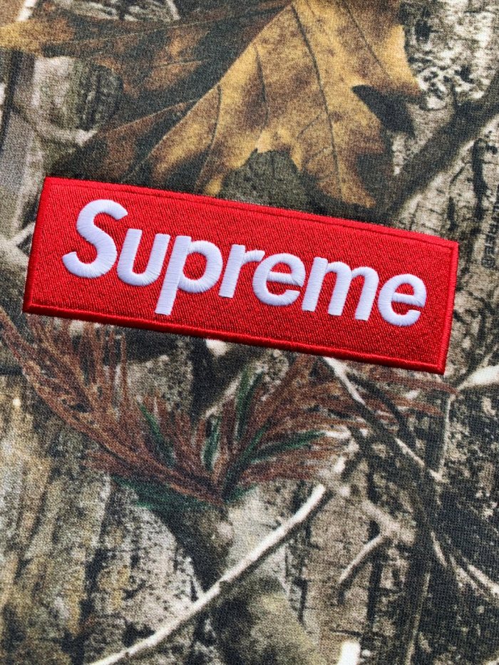 Supreme 25FW Box Logo Hooded Sweatshirt
