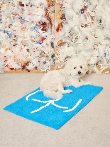 Bathtub non-slip mat