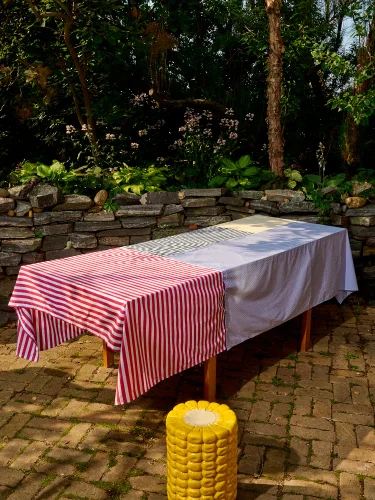 Checkered tablecloth