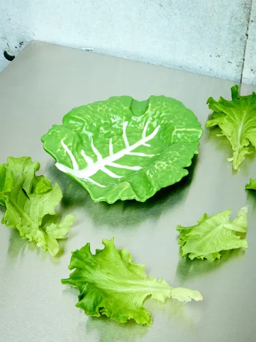 Lettuce ashtray