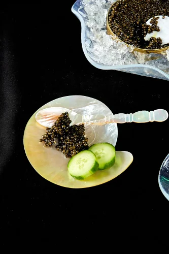 mother-of-pearl conch shell plate