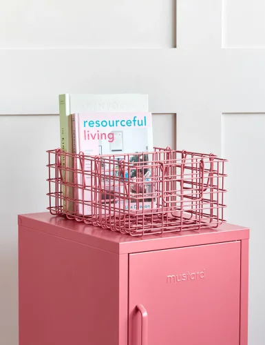 Mustard manufacturing lock storage cabinet - three-piece wire basket - soft fruit